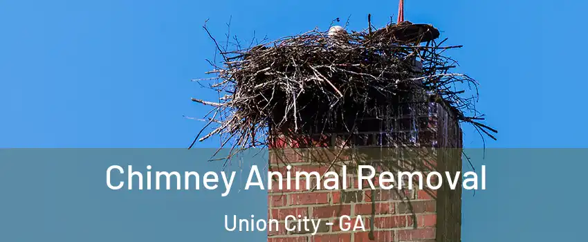 Chimney Animal Removal Union City - GA