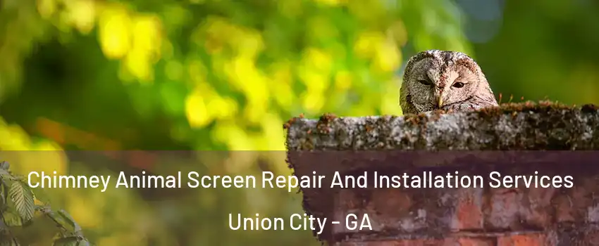  Chimney Animal Screen Repair And Installation Services Union City - GA