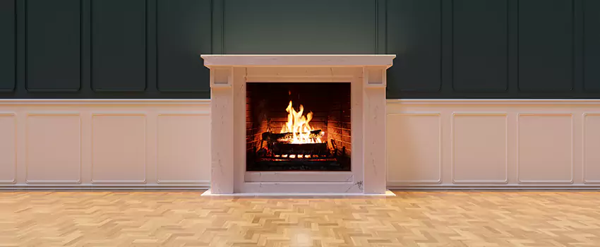 Napoleon Electric Fireplaces Inspection Service in Union City, Georgia